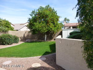 1026 E Constitution Dr, Gilbert, AZ 85296 photo 35