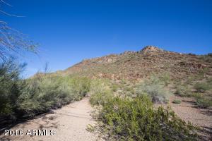 1307 E Orchid Ln, Phoenix, AZ 85020 photo 15