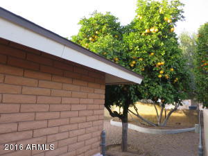 4522 Escondido Ave, Mesa, AZ 85206 photo 23