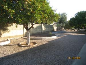 4522 Escondido Ave, Mesa, AZ 85206 photo 19