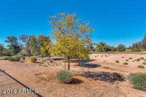5516 Enrose St, Mesa, AZ 85205 photo 27