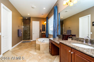 3773 Ember Glow Way, Phoenix, AZ 85050 photo 17