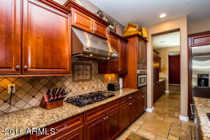 3773 Ember Glow Way, Phoenix, AZ 85050 photo 12