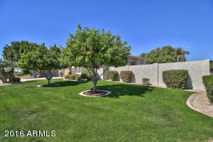 4726 E Decatur St, Mesa, AZ 85205 photo 4
