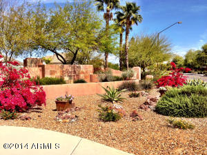 4218 E Harrison St, Gilbert, AZ 85295 photo 45