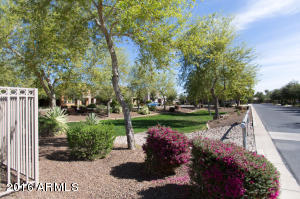 4370 E Rosemonte Dr, Phoenix, AZ 85050 photo 37