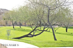 3507 Eleana Ln, Gilbert, AZ 85298 photo 25
