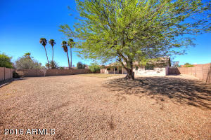4511 E Juniper Ave, Phoenix, AZ 85032 photo 5