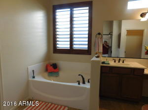 8727 E Jaeger St, Mesa, AZ 85207 photo 39