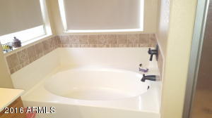 2320 Edna Ave, Phoenix, AZ 85022 photo 23