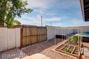 807 E 10th Dr, Mesa, AZ 85204 photo 43