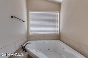 15427 S 37th Pl, Phoenix, AZ 85044 photo 20
