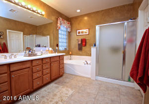 1135 N Balboa Dr, Gilbert, AZ 85234 photo 25