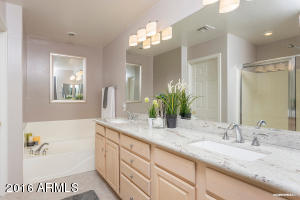 1024 E Frye Rd #1007, Phoenix, AZ 85048 photo 14