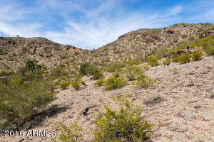2214 E Rockledge Rd, Phoenix, AZ 85048 photo 35