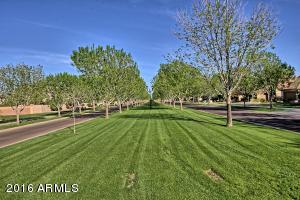 3068 E Marlene Dr, Gilbert, AZ 85296 photo 6