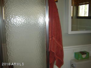 262 E Black Bear Trl, Christopher Creek, AZ 85541 photo 21