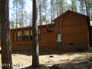 262 E Black Bear Trl, Christopher Creek, AZ 85541 photo 31