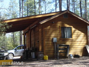 262 E Black Bear Trl, Christopher Creek, AZ 85541 photo 35