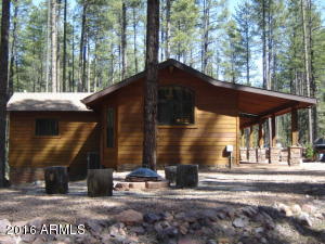 262 E Black Bear Trl, Christopher Creek, AZ 85541 photo 34