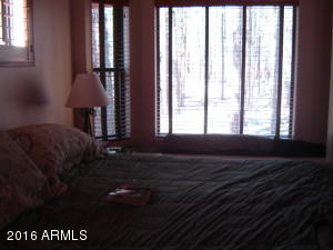 262 E Black Bear Trl, Christopher Creek, AZ 85541 photo 11
