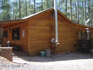 262 E Black Bear Trl, Christopher Creek, AZ 85541 photo 30