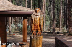 262 E Black Bear Trl, Christopher Creek, AZ 85541 photo 2