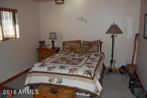 262 E Black Bear Trl, Christopher Creek, AZ 85541 photo 19