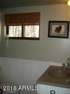 262 E Black Bear Trl, Christopher Creek, AZ 85541 photo 20