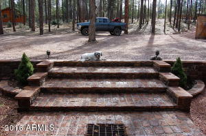 262 E Black Bear Trl, Christopher Creek, AZ 85541 photo 36