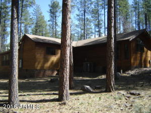 262 E Black Bear Trl, Christopher Creek, AZ 85541 photo 32