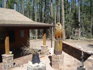 262 E Black Bear Trl, Christopher Creek, AZ 85541 photo 29