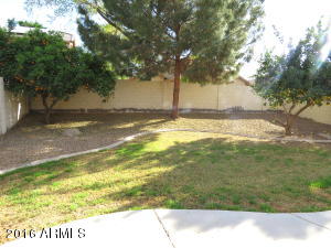 3435 E Phelps St, Gilbert, AZ 85295 photo 38