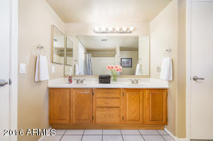 4337 E Rosemonte Dr, Phoenix, AZ 85050 photo 14
