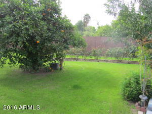 112 Encanto Dr, Tempe, AZ 85281 photo 79