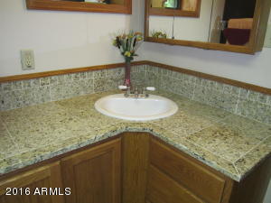 112 Encanto Dr, Tempe, AZ 85281 photo 59