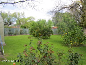 112 Encanto Dr, Tempe, AZ 85281 photo 82