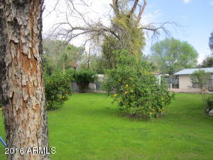 112 Encanto Dr, Tempe, AZ 85281 photo 83