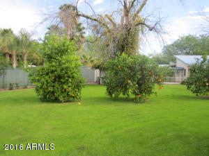 112 Encanto Dr, Tempe, AZ 85281 photo 84