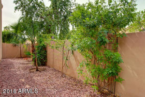 3218 E Briarwood Ter, Phoenix, AZ 85048 photo 36