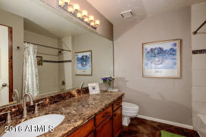 3218 E Briarwood Ter, Phoenix, AZ 85048 photo 29