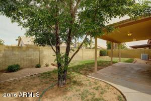 2240 E Stottler Dr, Gilbert, AZ 85296 photo 23