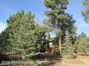 4171 W Sugar Pine Loop W, Show Low, AZ 85901 photo 21