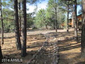 4171 W Sugar Pine Loop W, Show Low, AZ 85901 photo 20