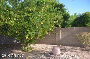 1233 E Lighthouse Ct, Gilbert, AZ 85234 photo 3