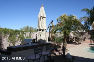 2524 E Parkside Ln, Phoenix, AZ 85024 photo 24