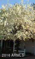 4631 E Catalina Dr, Phoenix, AZ 85018 photo 21