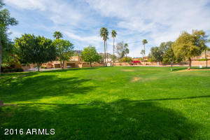 1141 E Tapatio Dr, Phoenix, AZ 85020 photo 29