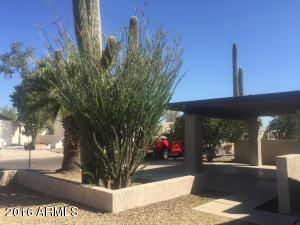 10471 W Devonshire Ave, Phoenix, AZ 85037 photo 9