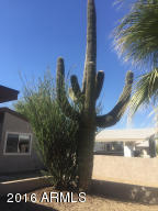 10471 W Devonshire Ave, Phoenix, AZ 85037 photo 14